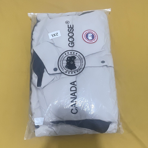 Canada goose chilliwack - goose,