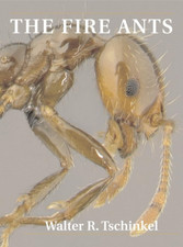 The Fire Ants - Paperback NEW