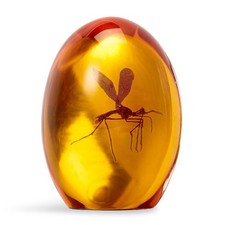 Jurassic Park Mosquito Amber