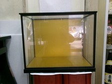 Glass case(Display Cases) of