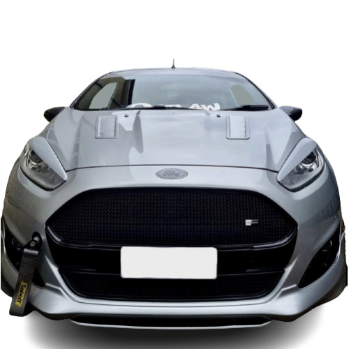 Zunsport compatible with ford - compatible,