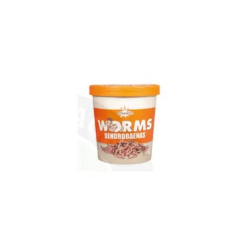 Dynamite dendrobaena worms - dendrobaena,