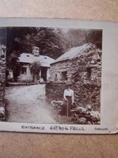 Stereo View Stereoscopic
