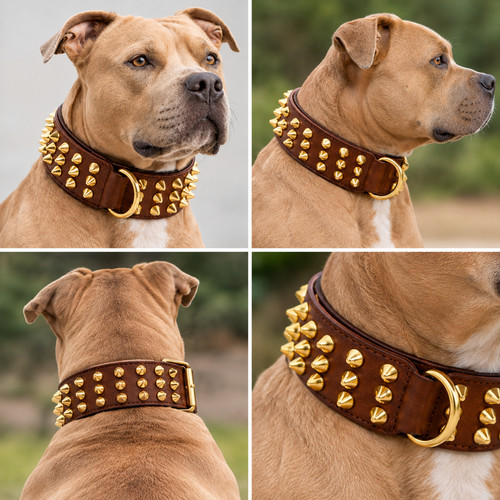 Brown leather dog collar - dog,
