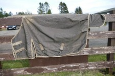 Unbranded mediumweight turnout