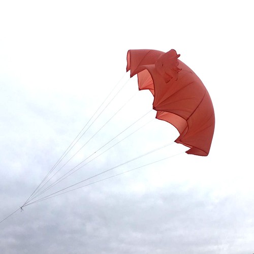 Model parachute 8 10kg - parachute, 6-8