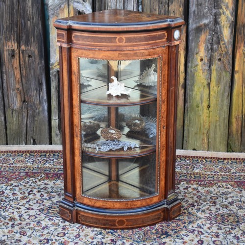 Antique inlaid burr walnut - antique,