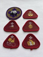 Six Scout Badges. Cub Activity