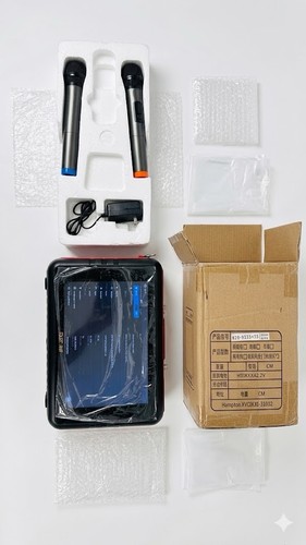 Sast portable karaoke machine - sast,