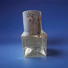 Cup With A Print Of A Wire Fox