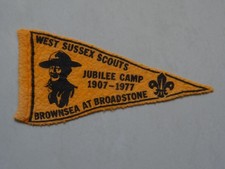 West Sussex Scouts Jubilee