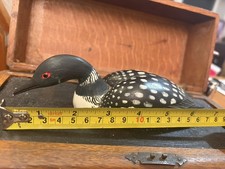 Vintage Wood Duck Common Loon