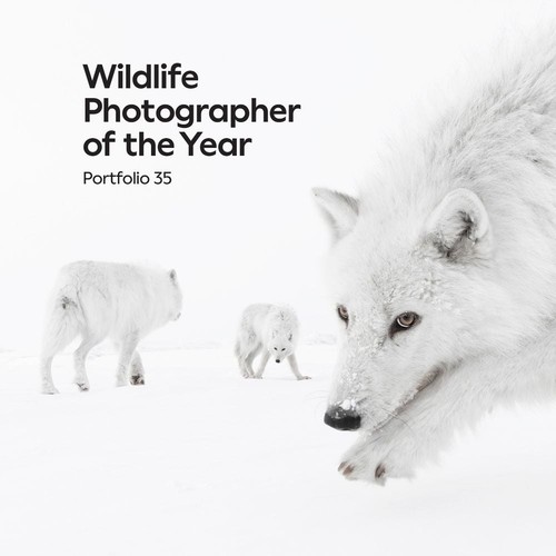 Wildlife photographer the - photographer, of