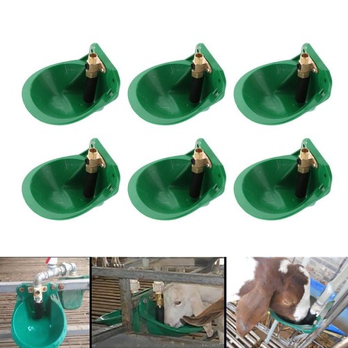 Pack automatic drinker - 6,