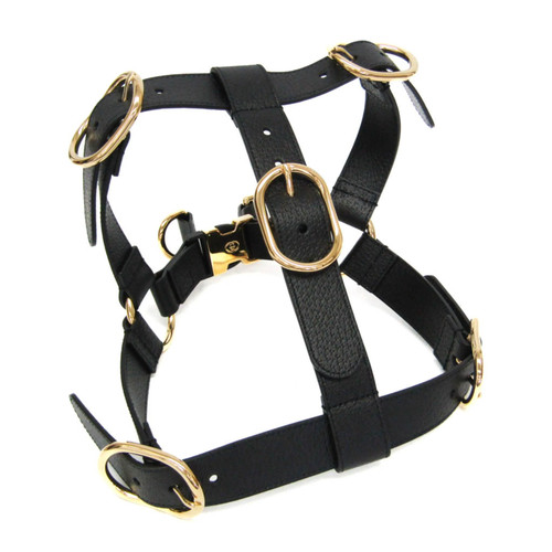 Gucci interlocking pet - interlocking,