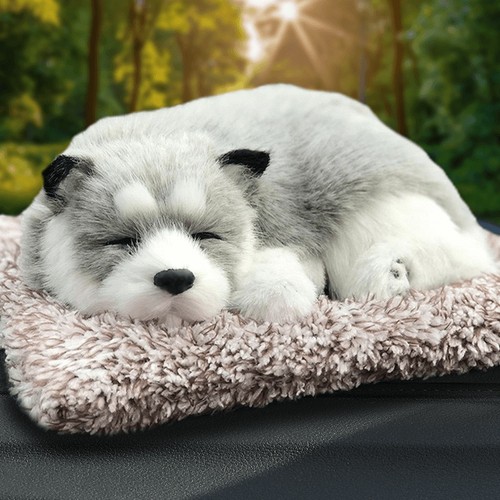 New dog bamboo charcoal bag - new,