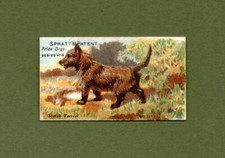 Spratt's (Pet Food) Prize Dogs 1910 Type Card Scotch Terrier Near Excellent