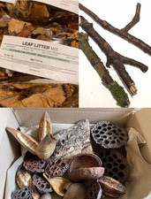 Terrarium accessory kit