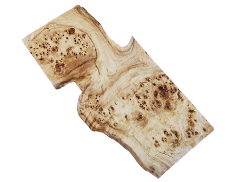Big poplar burl - big,