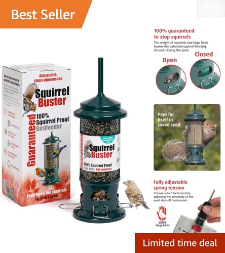 Squirrel proof bird feeding - bird,