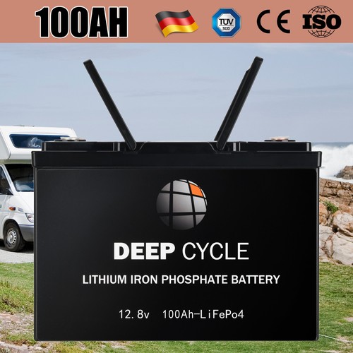12v 100ah lifepo4 battery - 100ah,