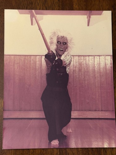 Vintage kendo photo - vintage, martial