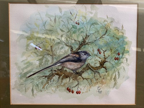 Watercolour long tailed - watercolour, tit