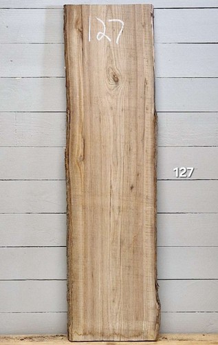 Elm live edge timber - elm, x