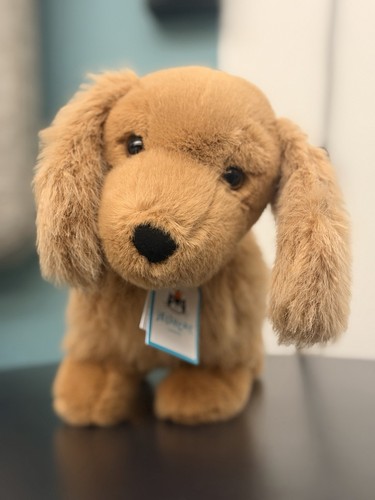 Jellycat pecanine sausage - jellycat,