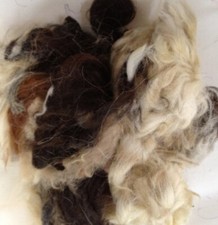 Alpaca Fleece Wool Fibre Bird