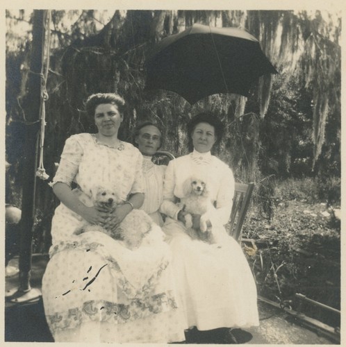 Women edwardian dresses poodle - dresses,