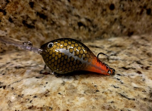Custom painted rapala 8 - painted, dt-8