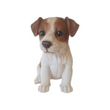 Jack russell puppy - russell, pet