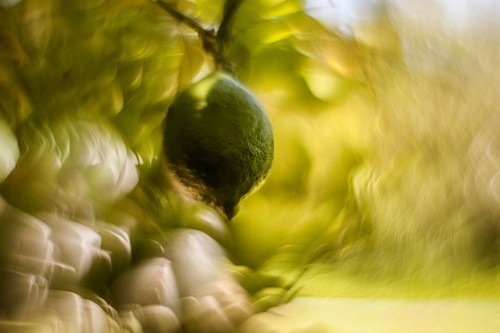 Helios 44m lens petzval - helios,