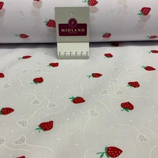 White Strawberry Strawberries