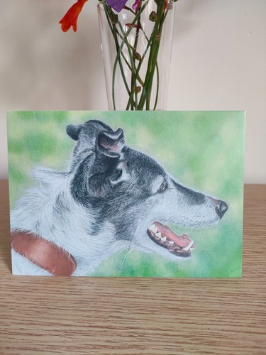 Lurcher greyhound birthday - greyhound,