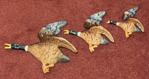 Falcon ware mallard duck - ware,