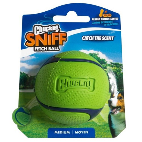Chuckit sniff fetch dog - fetch,