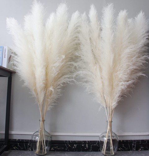 Inch stems cream pampas - inch,