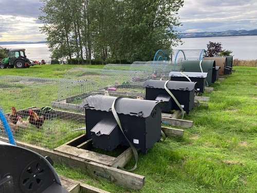 Chicken coop house with run - chicken,