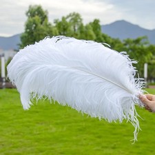 30cm large ostrich feathers - large,