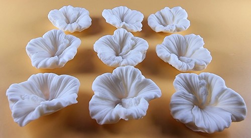 Edible hibiscus flowers - 9,