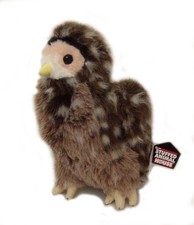 Northern Spotted Owl 10"