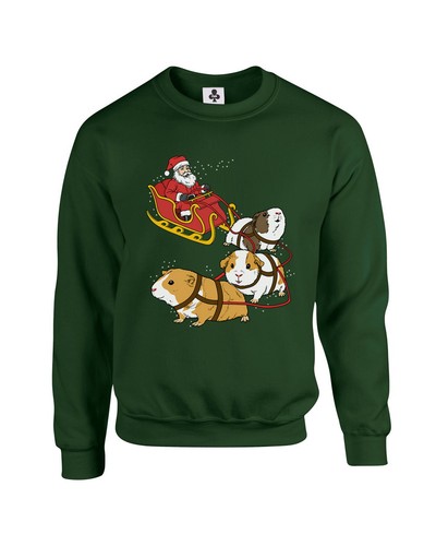 Guinea pigs santa sleigh kids - sleigh,