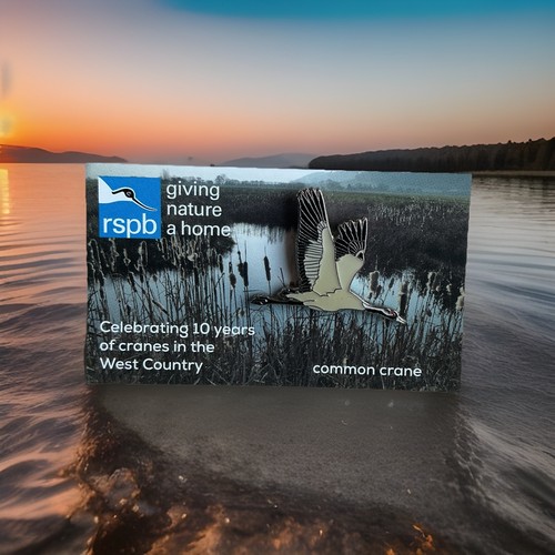 Rspb pin badge common - pin,