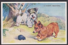 C1950 MABEL GEAR  POSTCARD #5569 'A HAPPY MEETING'  TERRIERS AND HEDGEHOG