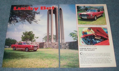 1966 shelby gt350 vintage - shelby,