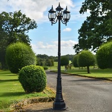 2.57m 'Gladstone' Elegant