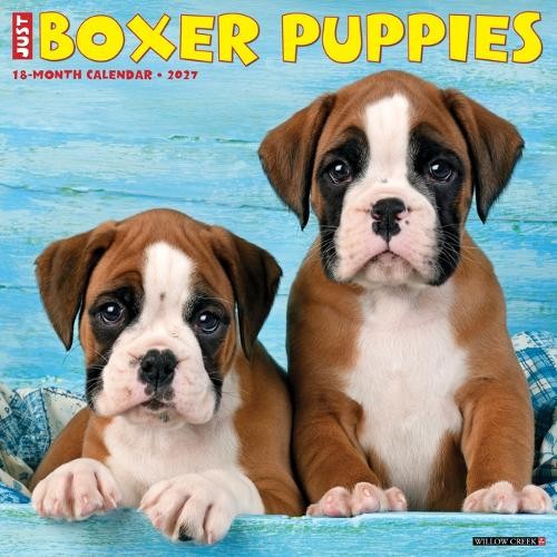 Boxer puppies 2027 wall - 2027, by