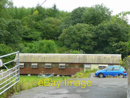 Photo 6x4 pigeon - pigeon, shed